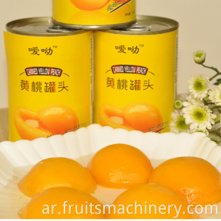 Automatic fruit vegetables pickles complete production line